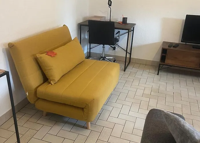 T2 Proche Zenith Daire Toulouse