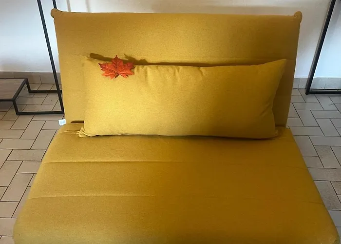 Daire T2 Proche Zenith Toulouse